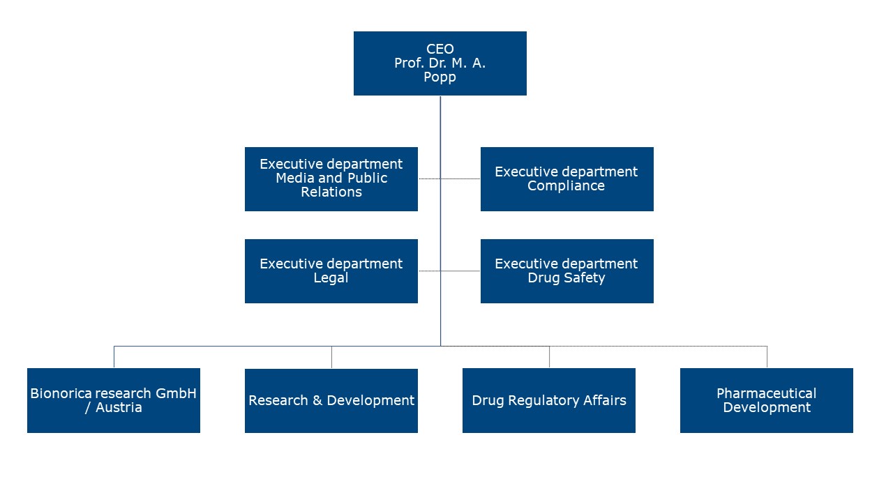 Organisational Structure of the CEO's department 