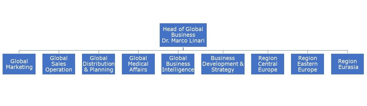 Organisational Structure of the Head of Global Business's department 